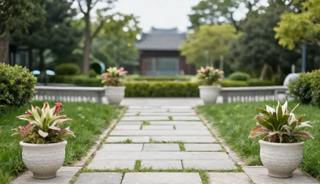 技术成果转化中的常见问题如何解决？